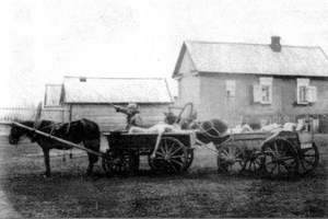 Перевозка жертв голода на кладбище. Марксштадт. 1922