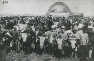 Красный Кут. 1927. Животноводческая выставка