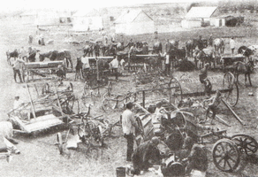 с.Розенберг. колхоз Новая Заря. Подготовка к севу. Весна 1931