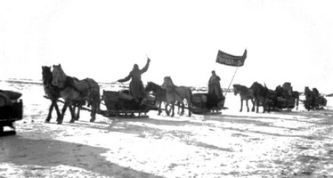 1931 г. Красный обоз с хлебом из немецких сел в Саратов