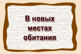 В новых  местах  обитания